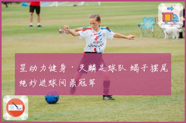 星动力健身·天麟足球队 蝎子摆尾绝妙进球问鼎冠军